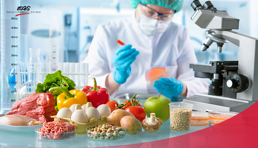 Food Safety Regulations for Professional Chefs